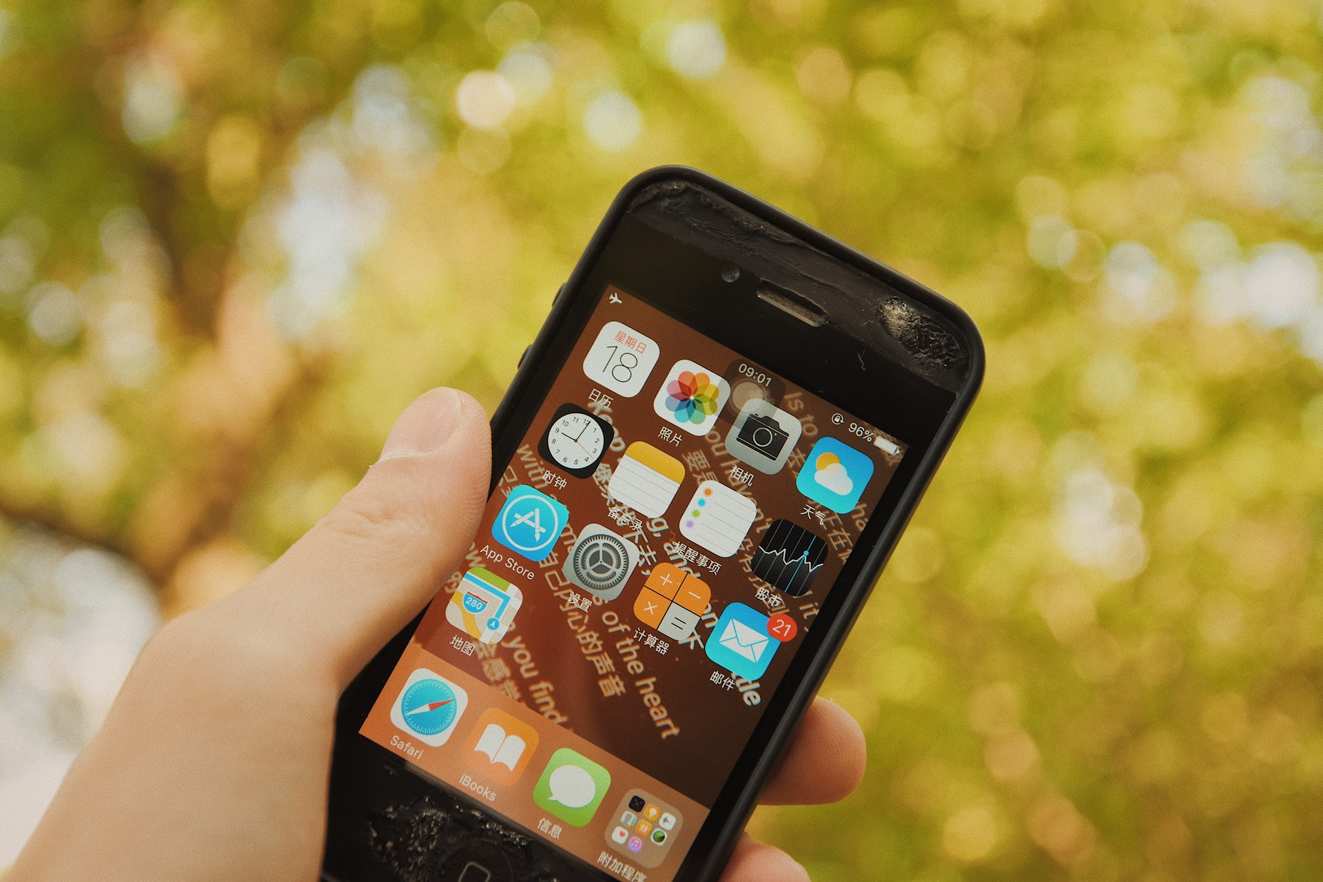 iPhone